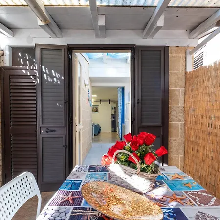Boutique - Loft Nexus